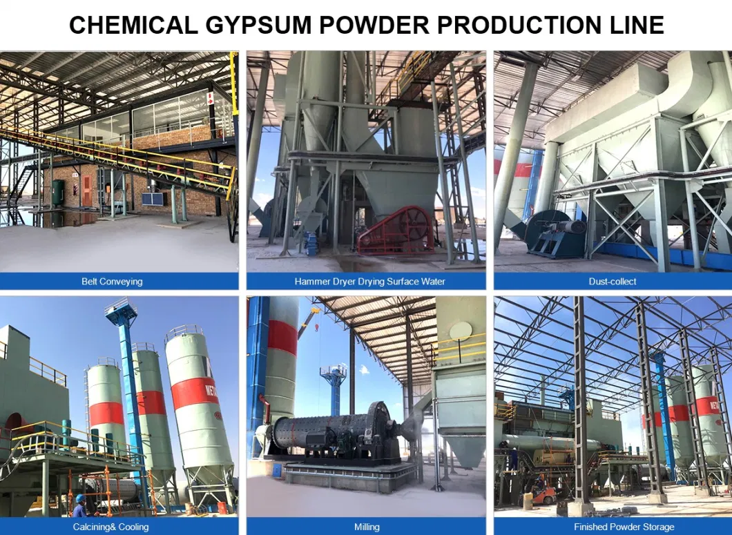 Phosphogypsum Process Equipment Phosphogypsum Gypsum Powder Machine