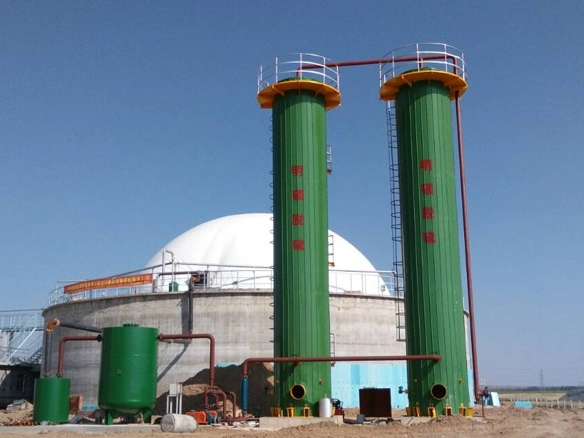 Customized Dry Desulfurization Equipment for Hydrogen Sulfur Removal Natural Gas Application