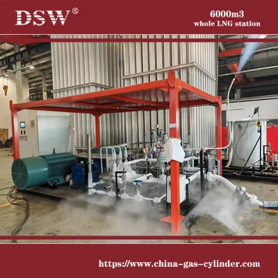 Skid pompa LNG L-CNG per stazione di riempimento gas naturale liquefatto Con doppio vaporizzatore 6000m3/H.