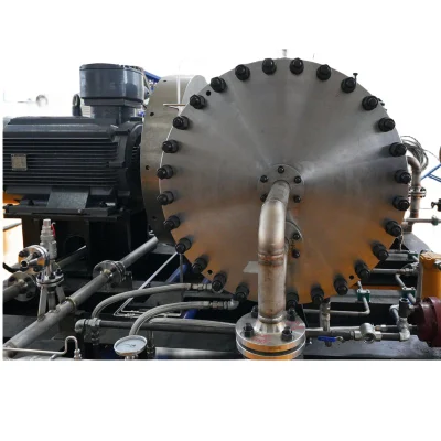 Diaframma a pistone alternativo a gas naturale e petrolio petrolchimico ad alta capacità Compressore