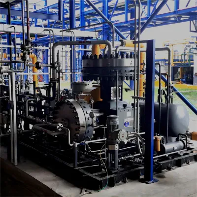 Diaframma a pistone alternativo a gas naturale e petrolio petrolchimico ad alta capacità Compressore