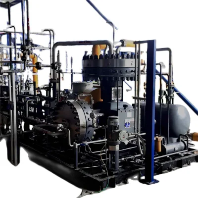 Diaframma a pistone alternativo a gas naturale e petrolio petrolchimico ad alta capacità Compressore