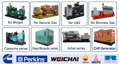 Generatore di gas a energia rinnovabile unità CHP per impianto di biogas