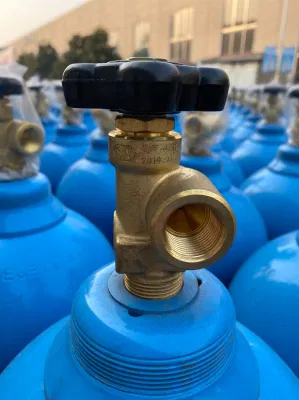 Bombola di gas Co portatile FCL con purezza 99.9% monossido di carbonio