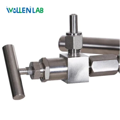 Bollitore di reazione in acciaio inox SUS304 SUS316 da 100 ml ad alta pressione Recipiente del reattore