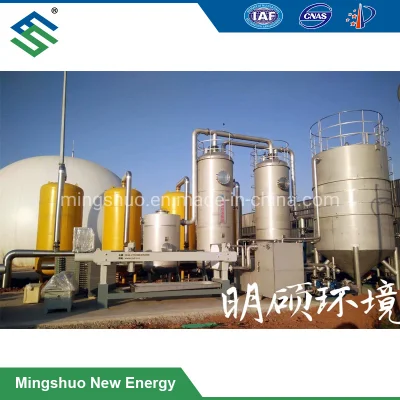 Gas rigeneratore del ferro del chelato di formato del contenitore che zucchera sistema