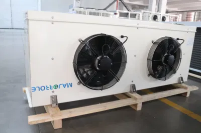  Zhexue evaporatore elettrico di sbrinamento frigorifero per cella frigorifera per frutta