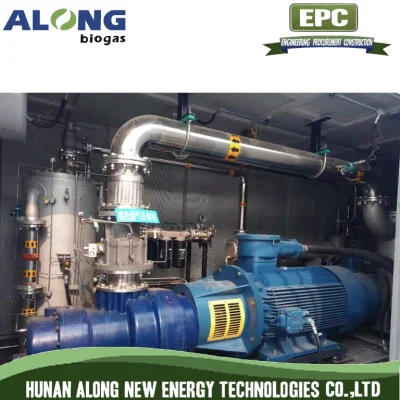 Separazione delle membrane biogas aggiornamento del sistema di purificazione a decarburazione a gas naturale (CNG)