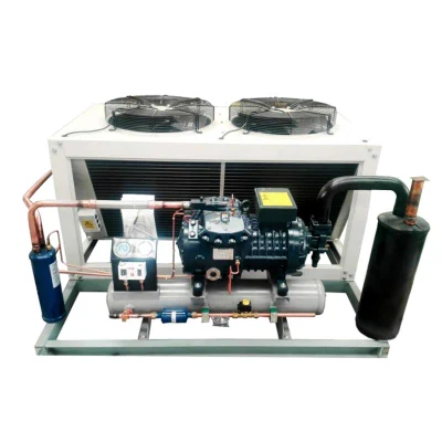 Apparecchiatura di compressione automatizzata freon di qualità superiore per raffreddamento di pollame