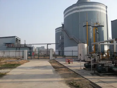 Impianto di conversione gas biogas-natura sistema di aggiornamento/decarburazione/purificazione