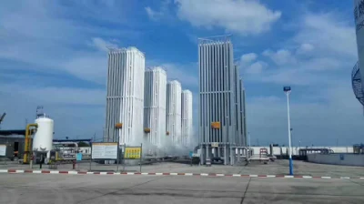  Evaporatori a gas naturale in lega di alluminio da 1000 nm3/H di alta qualità GNL ambiente Prezzo vaporizzatore