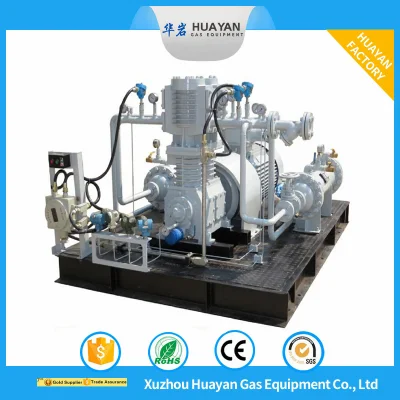 DW-1.1/19-23 compressore di ossigeno montato su pattini metano etilene processo pistone compressore olio Compressore pneumatico a pistone libero