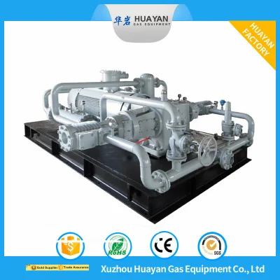 DW-1.1/19-23 compressore di ossigeno montato su pattini metano etilene processo pistone compressore olio Compressore pneumatico a pistone libero