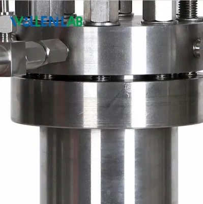 Bollitore di reazione in acciaio inox SUS304 SUS316 da 100 ml ad alta pressione Recipiente del reattore