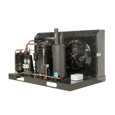  Compressore impianto di refrigerazione condizionamento aria unità di condensazione per camera fredda