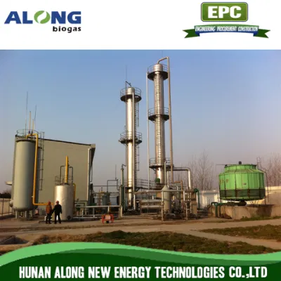  Aggiornamento biogas al sistema di decarbonio a gas naturale