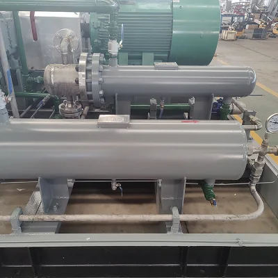  250 bar montati su pattini (25 MPa) Compressore a pistone alternativo per gas naturale CNG