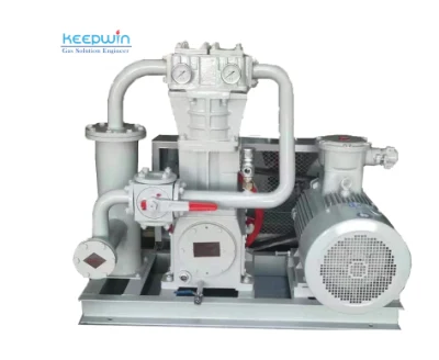 Compressore a pistoni alternativi per gas naturale liquido GNL per gas Caricamento stazione scaricamento
