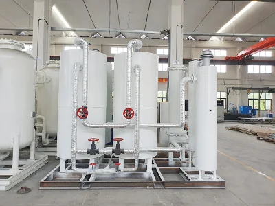 1000 PRM Nm3/H per generatore di gas naturale