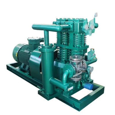  Pistone alternativo raffreddato ad aria senza olio tipo gas idrogeno GPL metano Compressori per stazioni di rifornimento carburante