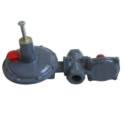Secondo regolatore di gas saturi per PRM