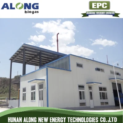  PSA Biogas Upgrading System to Natural gas /CO2 Removal CH4 Separazione