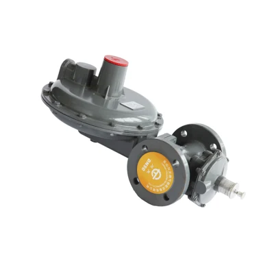 Secondo regolatore di gas saturi per PRM
