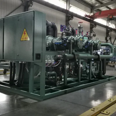 Apparecchiatura di compressione automatizzata freon di qualità superiore per raffreddamento di pollame