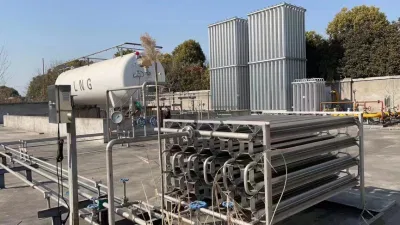 Sistema di rigassificazione GNL con dosatore di regolazione tutte le unità di sicurezza delle valvole Per caldaie a gas naturale