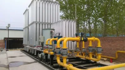 Stazione di gassificazione LNG montata su pattini da 500 nm3/H per l&prime;alimentazione di gas naturale a. Generatore di potenza