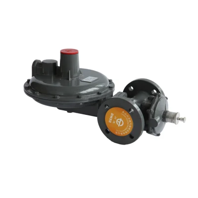 Secondo regolatore di gas saturi per PRM