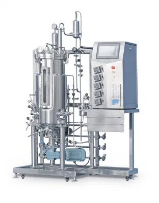 Bioreattore a flusso continuo a forma di cono in acciaio inox, fermentatore a ciclo lungo da 1000 l. Produzione di enzimi sistema automatico di dosaggio chimico