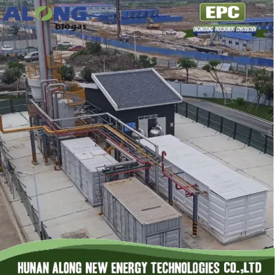 Separazione delle membrane biogas aggiornamento del sistema di purificazione a decarburazione a gas naturale (CNG)