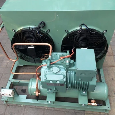 Apparecchiatura di compressione automatizzata freon di qualità superiore per raffreddamento di pollame
