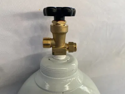 Monossido di carbonio Co in bombola di gas di vendita a caldo di buona qualità