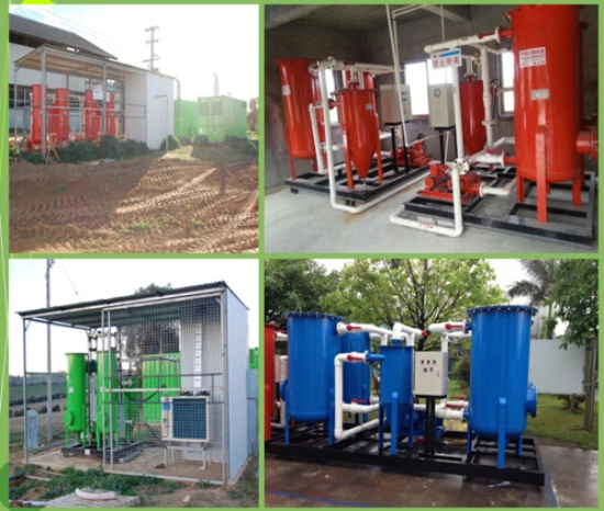 Biogas Desulfurization System/De-Moisture/Pressure Adjust Combined Treatment Equipment