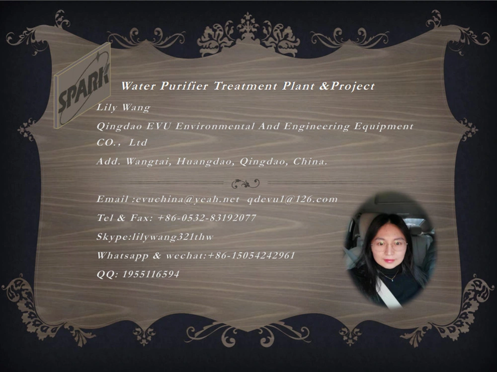 Effluent Treatment Automatic Chemical Flocculant Powder Dosing System/Machine/Equipment for Sewage Water Treatment