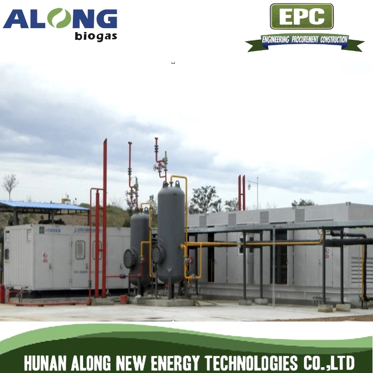 Psa Biogas Upgrading System to Natural Gas /CO2 Removal CH4 Separation