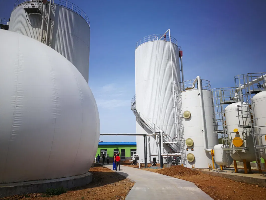 Compost Organic Fertilizer Biogas Power by Comprehensive Biogas Project