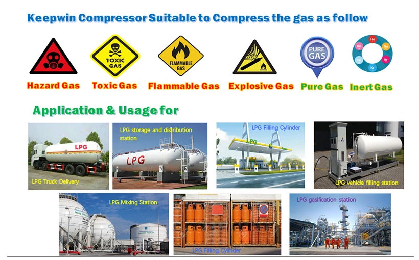 Zw- 0.6/16- 24 11kw Propane Propylene Gas Loading Unloading Gas Compressor