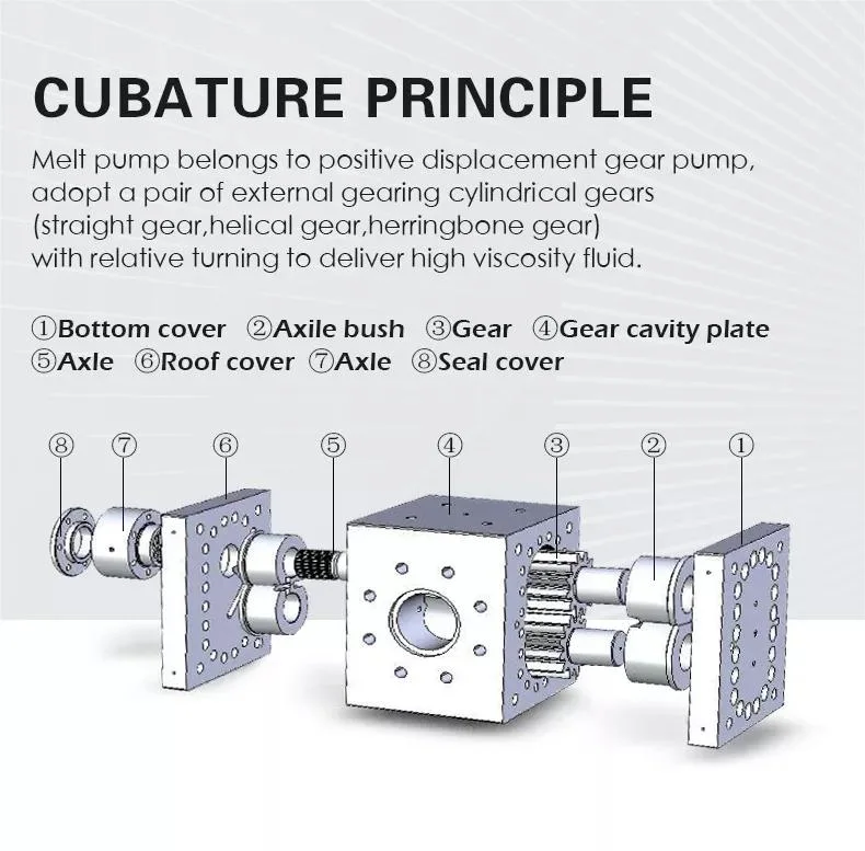 Metering Pump Viscosity Hot Gear Pump Hot Melt Glue Dosing Systems Spinning Melt Pump for Chemical Fiber Hydraulic Pump High Pressure Pump Vertical Pump