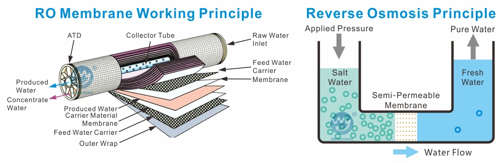 Desalination Plant Brackish Water Equipment Reverse Osmosis with Dosing System