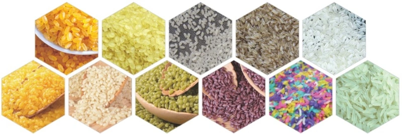 Vitamin Reconstituted Nutrition Frk Rice Making Processing Equipment