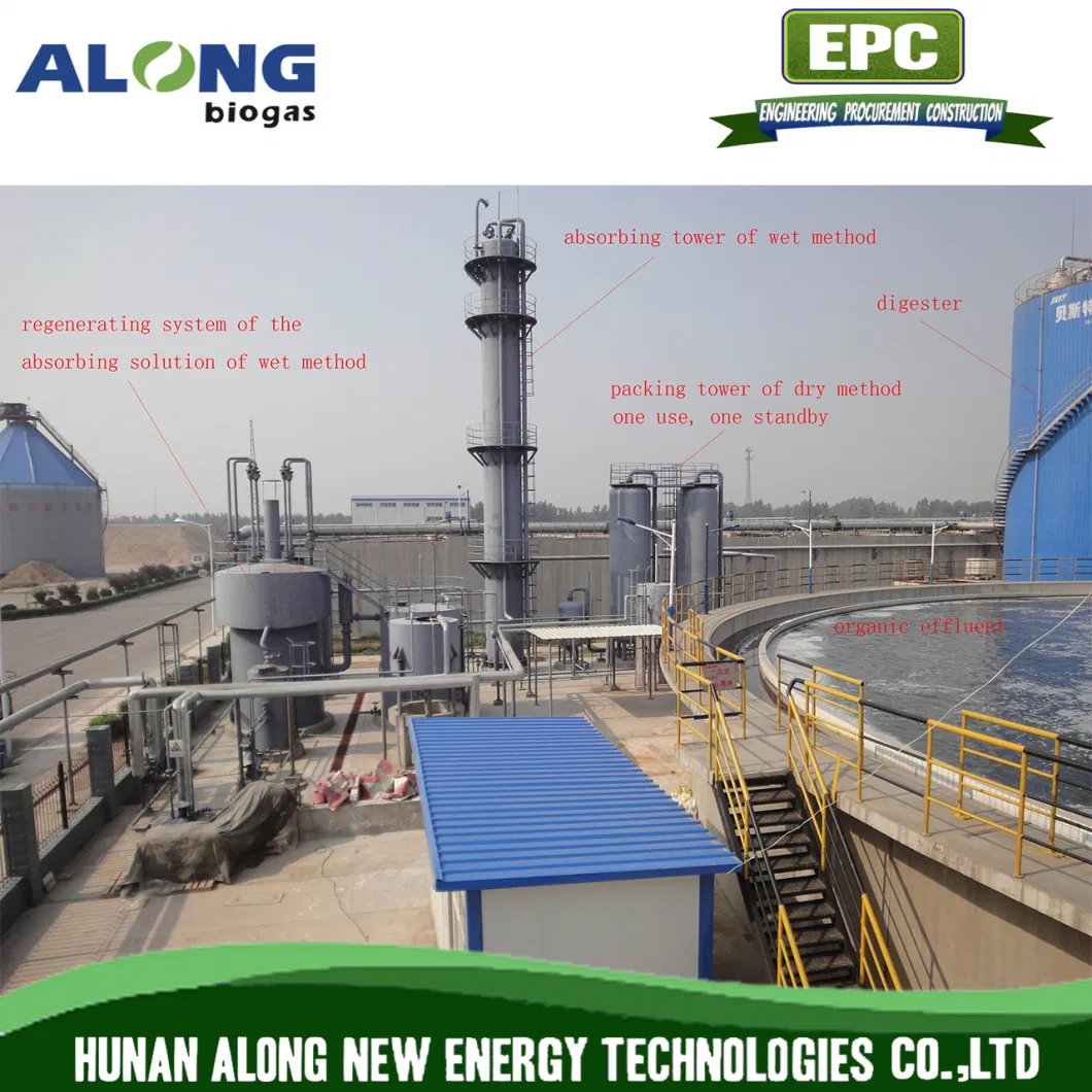 Biogas Chemical Absorption Purification System to Natural Gas (CNG)