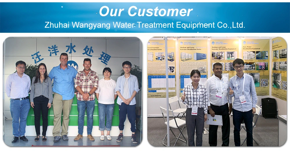 Desalination Plant Brackish Water Equipment Reverse Osmosis with Dosing System