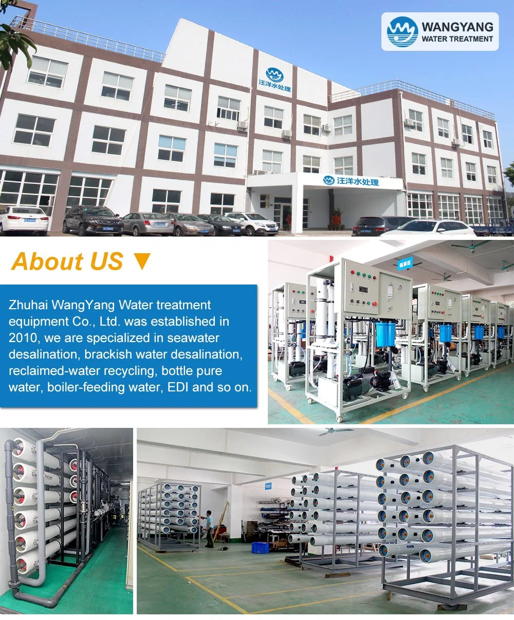 Desalination Plant Brackish Water Equipment Reverse Osmosis with Dosing System