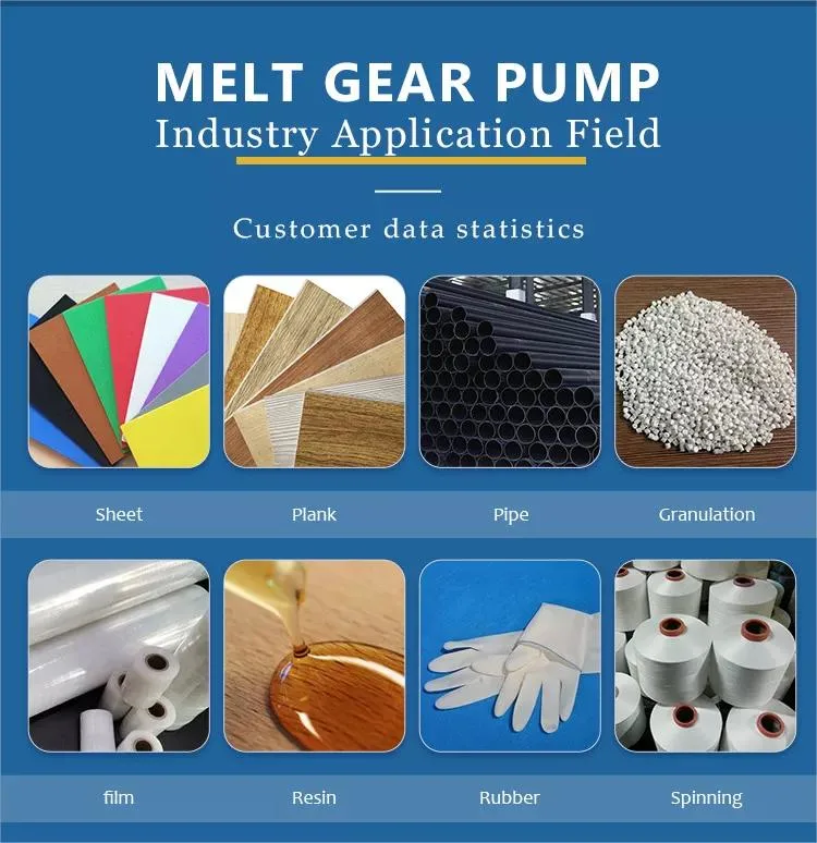 Metering Pump Viscosity Hot Gear Pump Hot Melt Glue Dosing Systems Spinning Melt Pump for Chemical Fiber Hydraulic Pump High Pressure Pump Vertical Pump