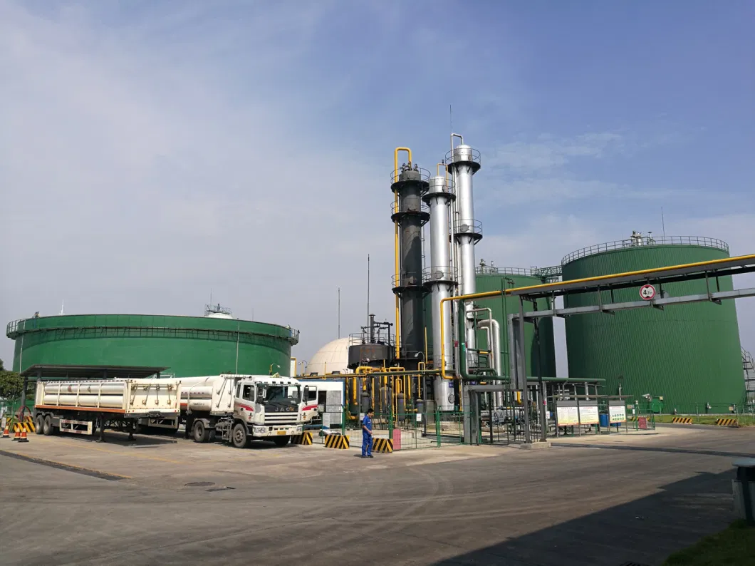 Biogas Upgrade to Natural Gas De-Carbon System