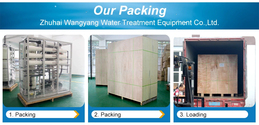 Desalination Plant Brackish Water Equipment Reverse Osmosis with Dosing System