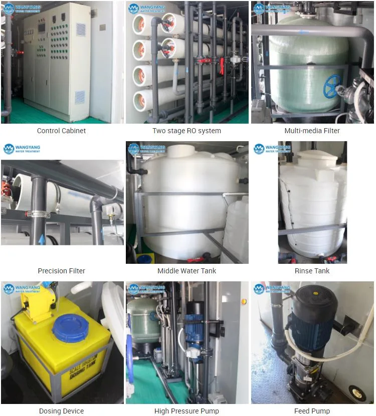 Desalination Plant Brackish Water Equipment Reverse Osmosis with Dosing System